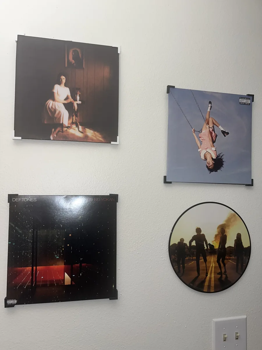 Wall Grooves record and picture disc displays mounted on a wall